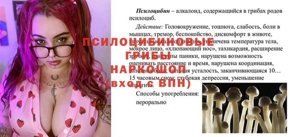молекула духа Зерноград