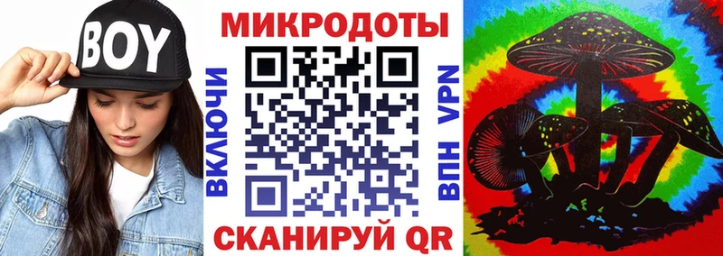 Купить закладки  Богучар  Галлюциногенные грибы Cubensis 